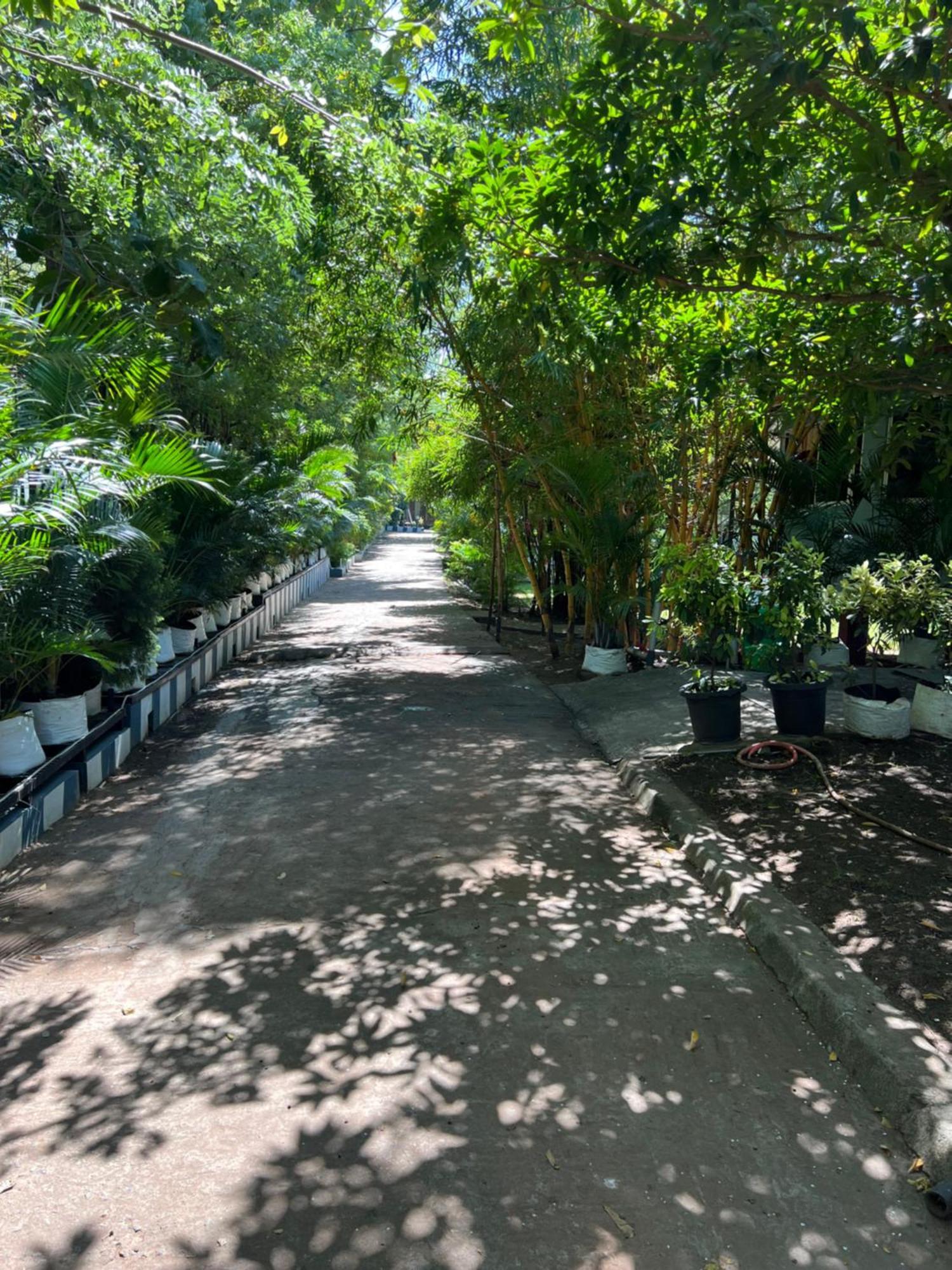 The Midway Jungle Resort Masinagudi Εξωτερικό φωτογραφία
